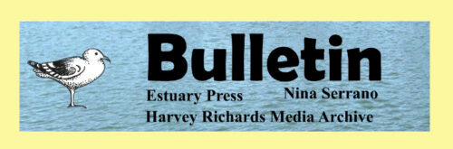Bulletin header 1